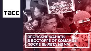 Японские фанаты в восторге от команды после вылета из ЧМ