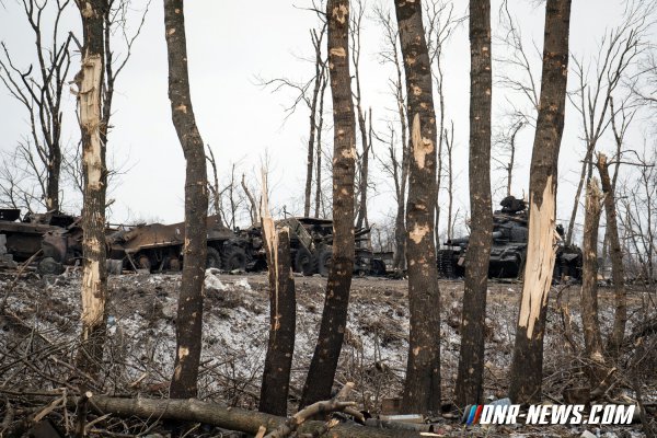 В ДНР создадут объекты лесосеменной базы для восстановления пострадавших от войны лесов