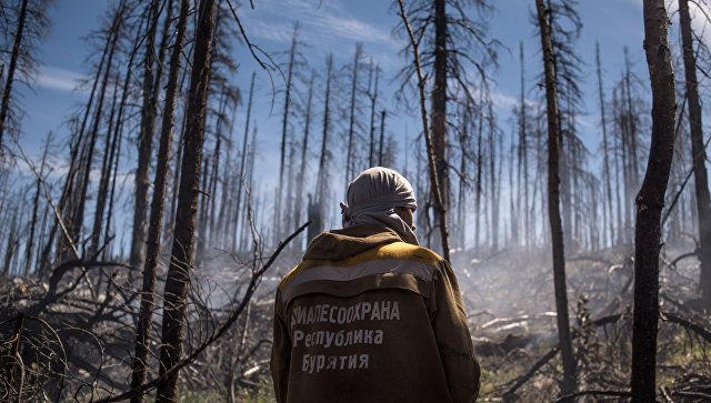 В России лесные пожары охватили 61,8 тысячи гектаров