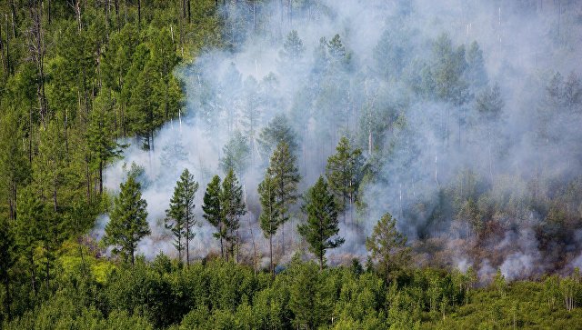 В Хакасии на площади 22 гектара горит заповедник