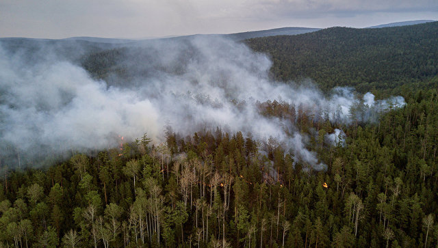 Площадь пожара в красноярском заповеднике за два дня выросла на 500 га