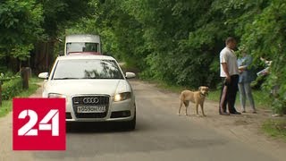 В подмосковной Малаховке опасная дорога осталась без лежачих полицейских - Россия 24