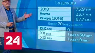 "Погода 24": финал ЧМ ожидается жарким, но погода обещает быть пасмурной - Россия 24