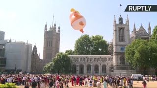 Гигантский Трамп — младенец парит над центром Лондона