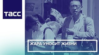 Жара уносит жизни