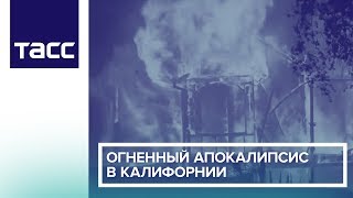 Огненный апокалипсис в Калифорнии