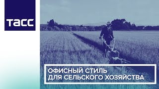 Офисный стиль для сельского хозяйства