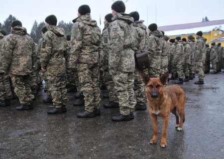 Наёмники не желают воевать, или почему разбегаются украинские солдаты