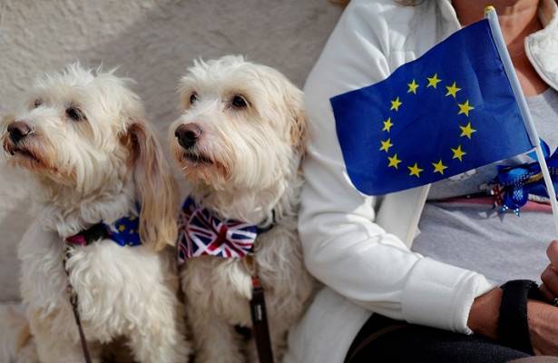 В Великобритании с протестом против брексита вышли тысячи собак