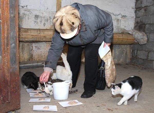 В Москве жестоко избита пенсионерка: женщина просто кормила кошек