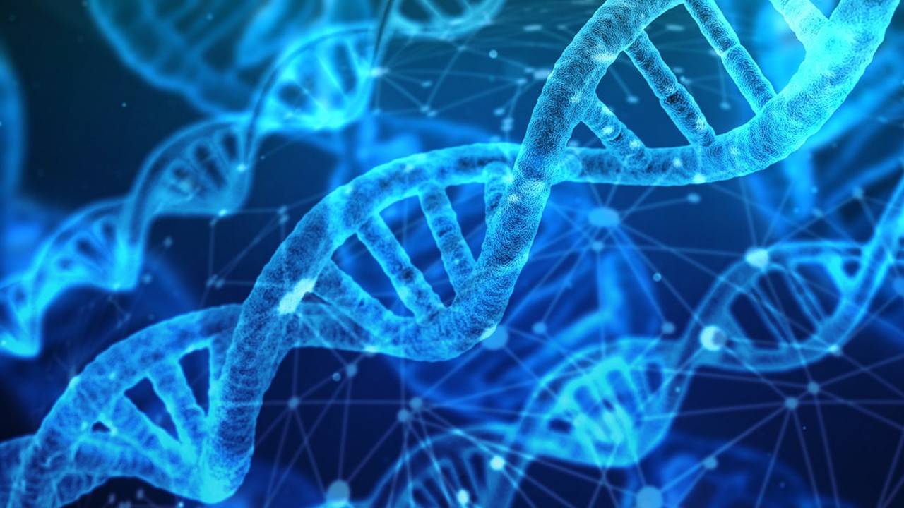 Впервые в истории рождены дети с генетически отредактированной ДНК
