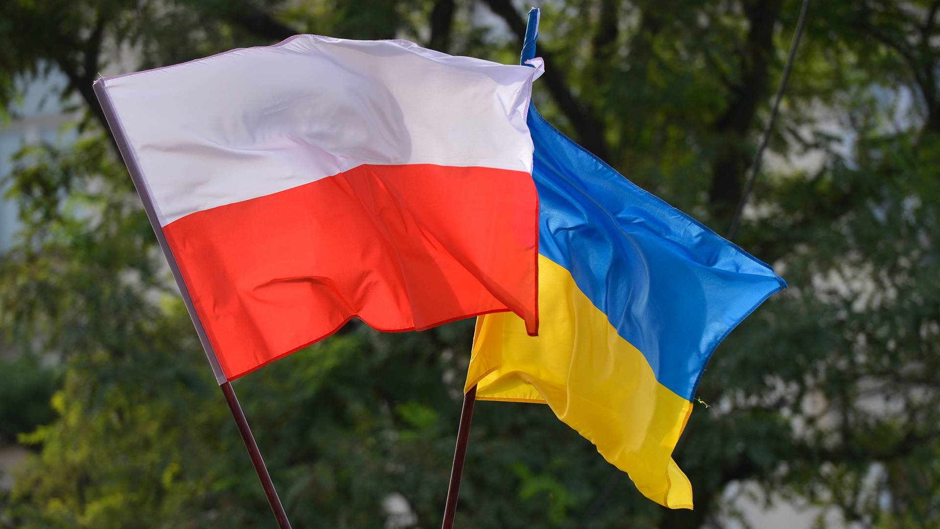 Следующим военным противником Украины может стать Польша