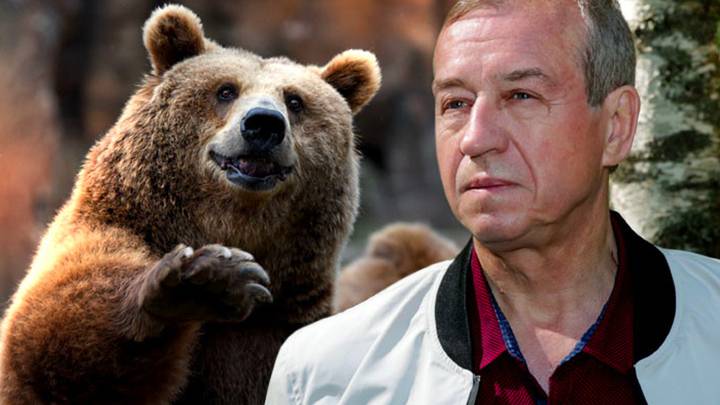 Убийство спящего медведя губернатором Иркутской области не останется безнаказанным