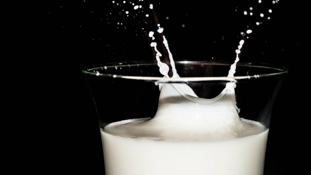 Ученые считают полный отказ от молочных продуктов опасным