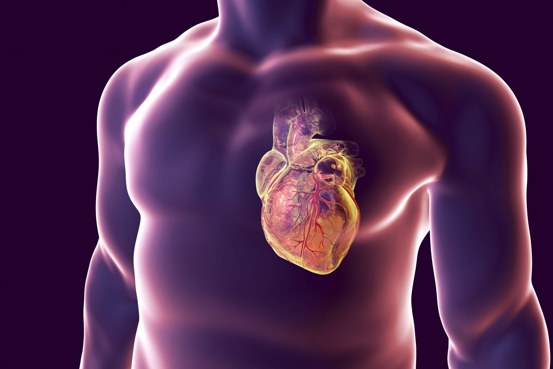 Врачи рассказали, как мужчины могут проверить здоровье сердца