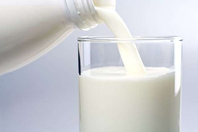 Ученые считают, что молоко приносит вред желудку взрослого человека