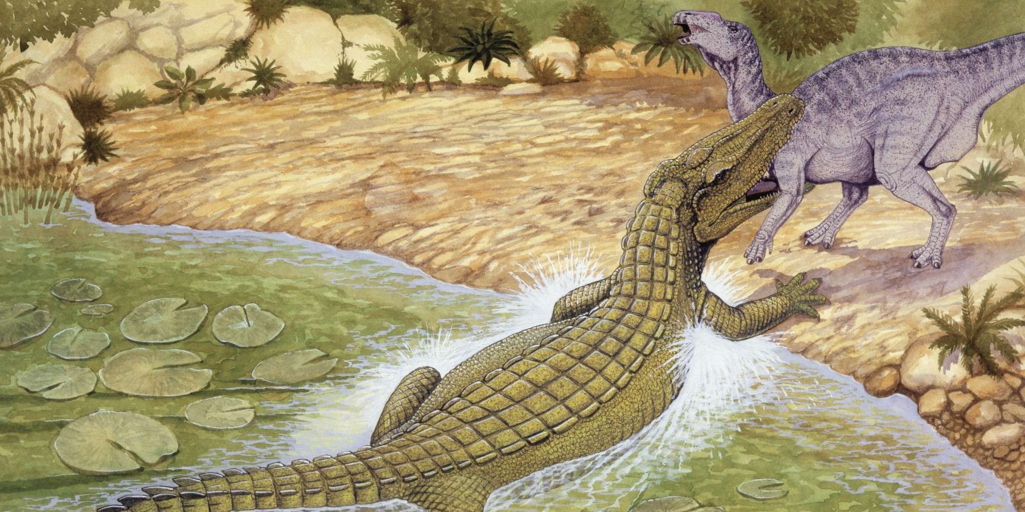 Найдены останки древнего крокодила возрастом 150 млн лет