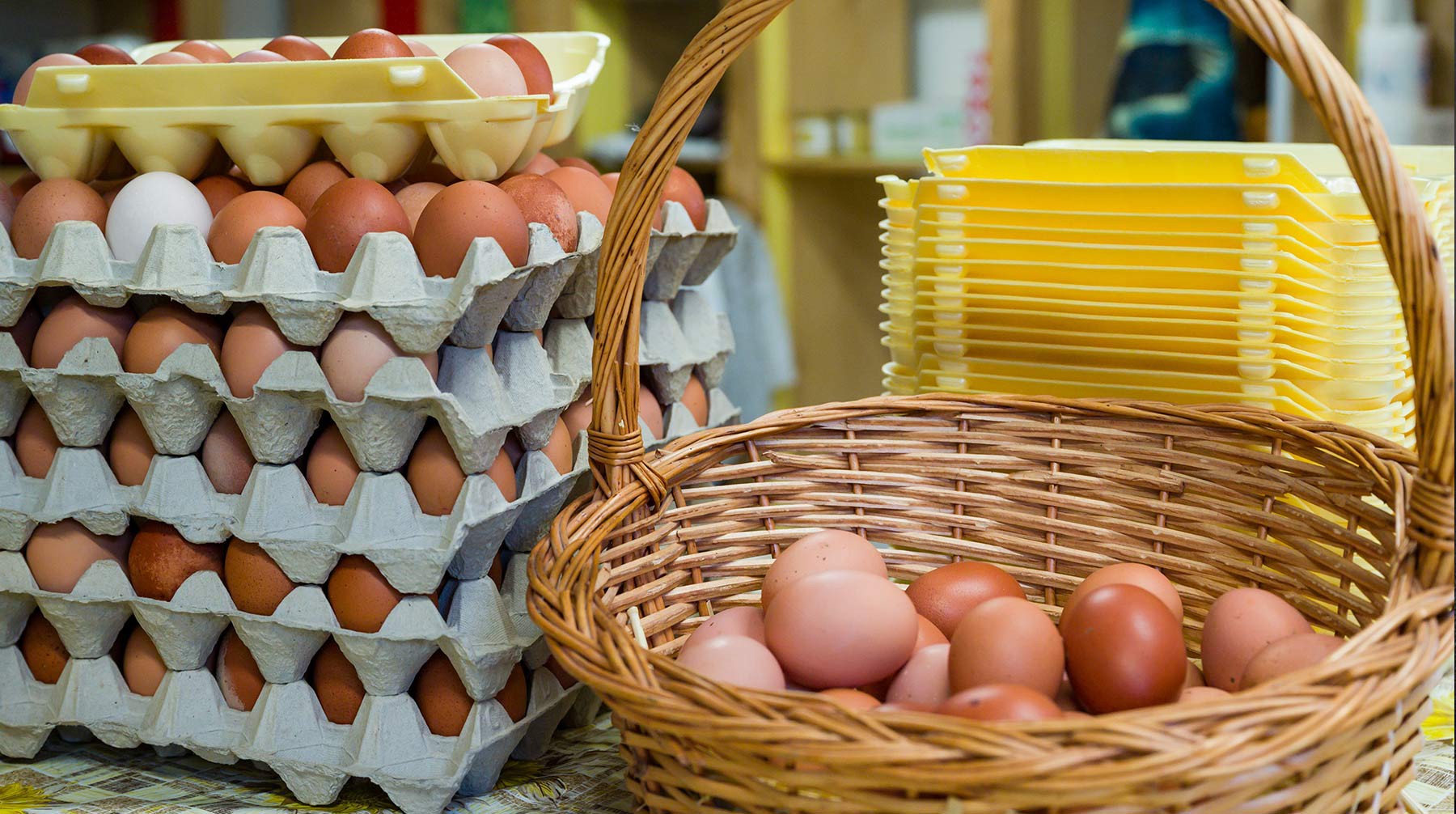 Закупочные цены на яйца повысят